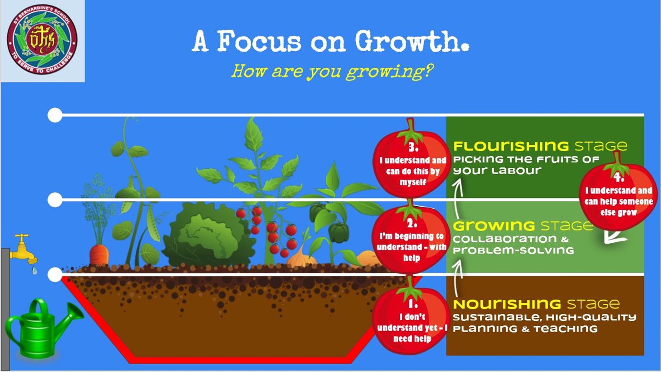 Learning growth framework showing stages from needing support to independent understanding and helping others, using a plant growth metaphor to illustrate progression, collaboration and flourishing at St Bernardine’s School